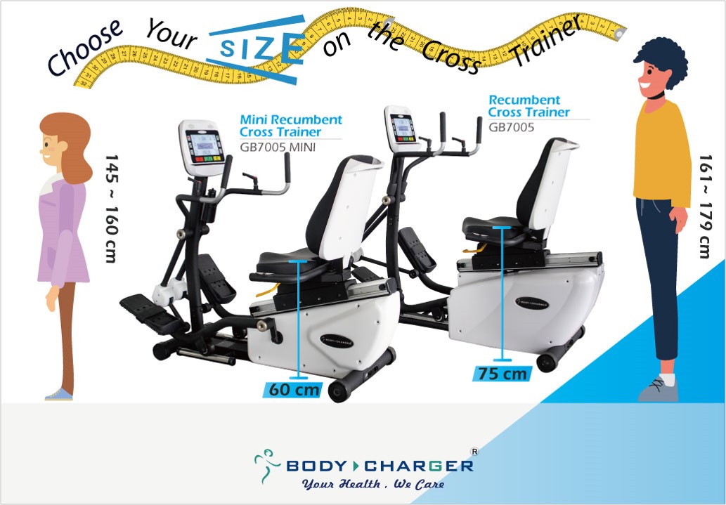 body charger mini recumbent cross trainer