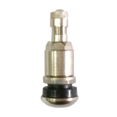 VA-V08 Clamp in Tubeless Tire Valve