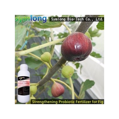 Strengthening Probiotic Fertilizer for Fig