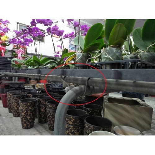 Greenhouse Spring Clip / 3