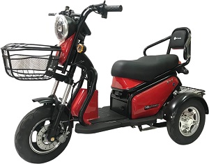 Electric Tricycle G05-01