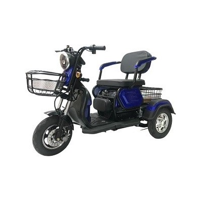 Electric Tricycle G06