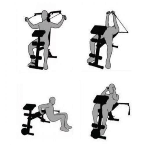 Sit-up Bench (SB1200-01) / 2