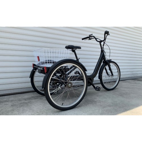 Cargo Tricycle / 3
