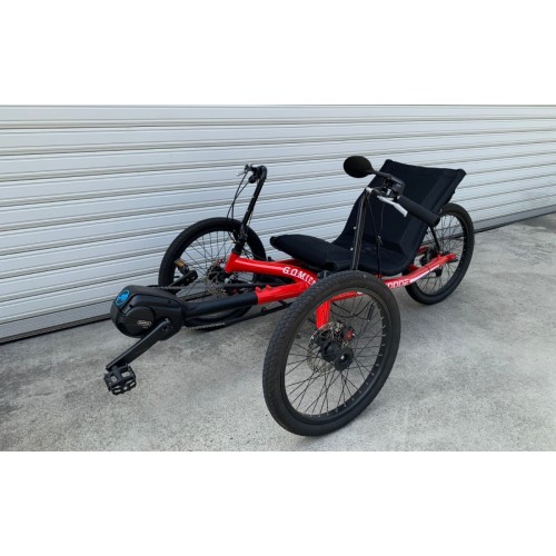 Recumbent Trike / 2