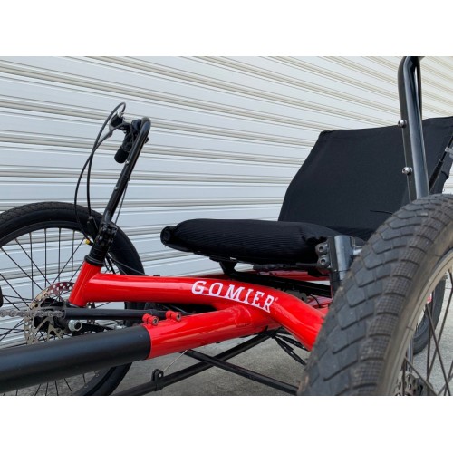 Recumbent Trike / 5