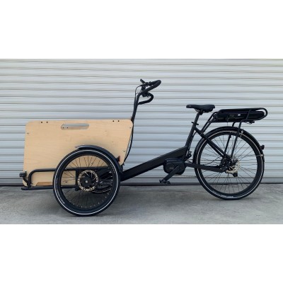 Cargo Ticycle