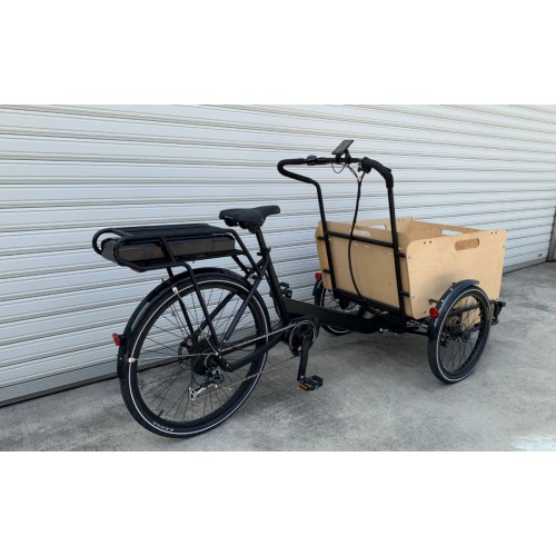 Cargo Ticycle / 2