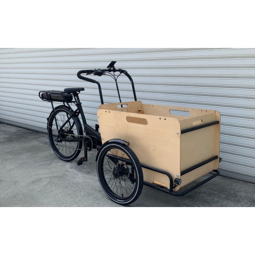 Cargo Ticycle / 3
