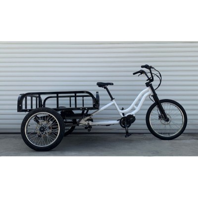 Cargo Tricycle