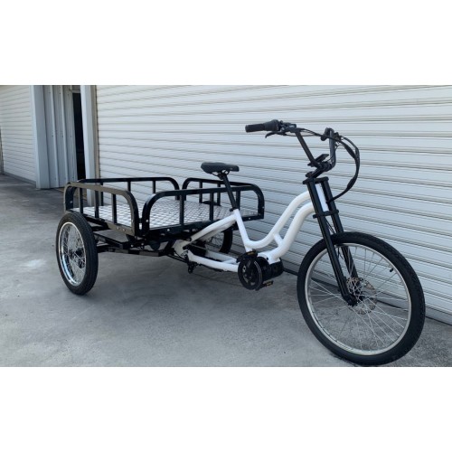 Cargo Tricycle / 2