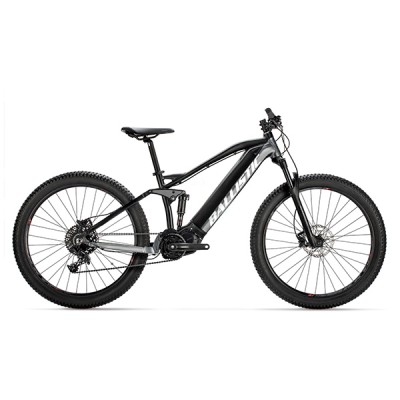 Electric Bicycles (SE7-961)