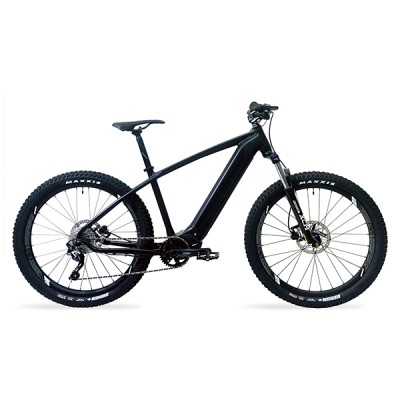 Electric Bicycles (SE8-960)