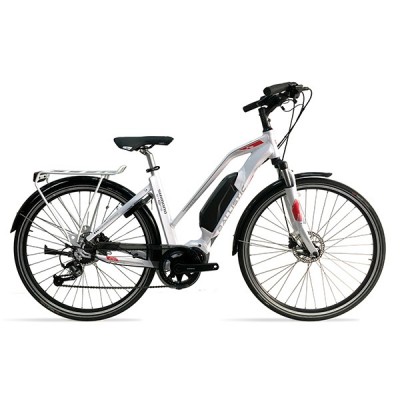 Electric Bicycles (SE6-748)