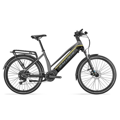 Electric Bicycles (DPM-76T-L)