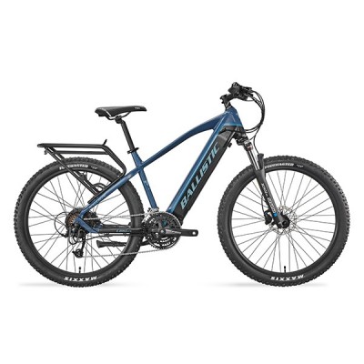 Electric Bicycles (BRM-96T)