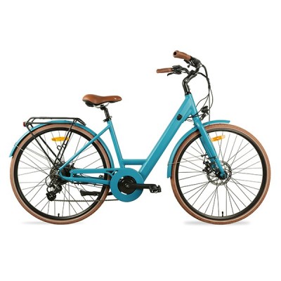 Electric Bicycles (BRM-GD2-L)