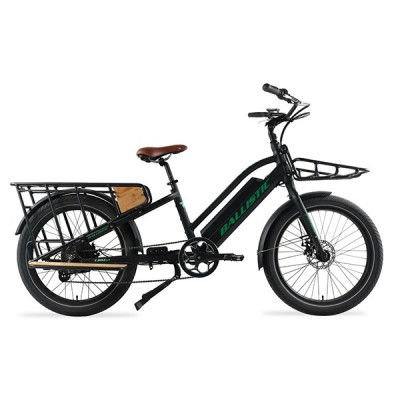 Electric Bicycles (BRM-4CGO)