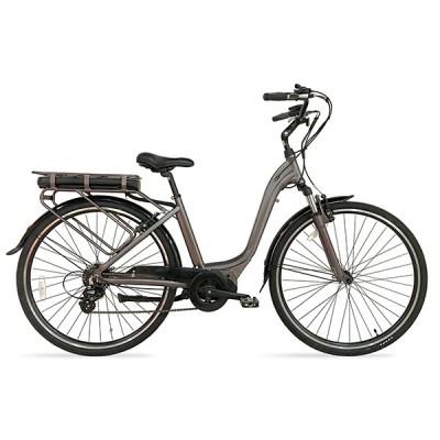 Electric Bicycles (BM3-709)