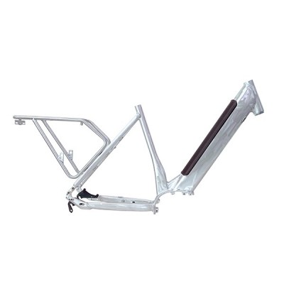 Electric Bicycle Frame (BG3-767L)