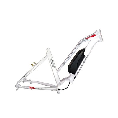 Electric Bicycle Frame (SHE-748L)