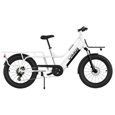 CARGO E-BIKE