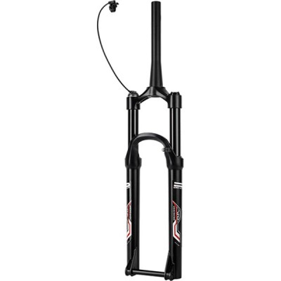 Front Fork (ORL) DNM