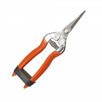 HC-5324 - STAINLESS STRAIGHT PRUNING SHEAR