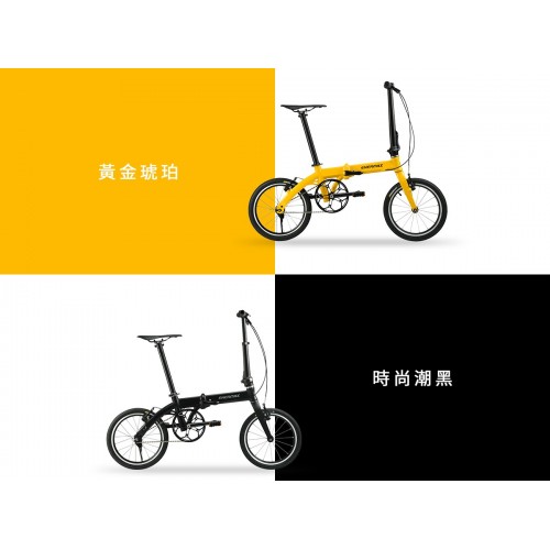 PF591-Light-Weight Folding Bike / 4