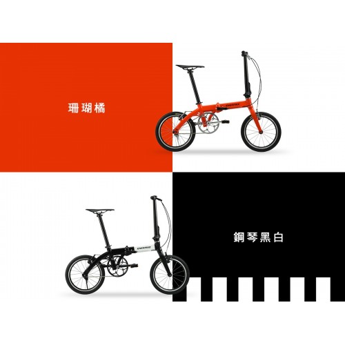 PF591-Light-Weight Folding Bike / 7
