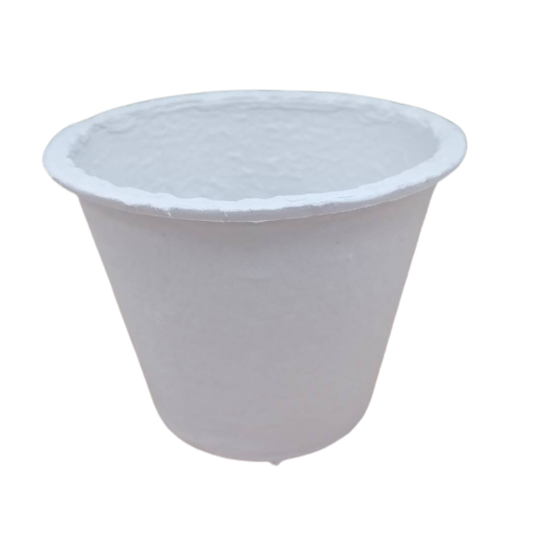 BiotiCircular EcoPot, 4 in. Round / 2