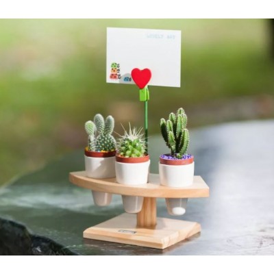 Multi-Succulent Mini Pot Holder- Three-hole hand rolling wooden stand