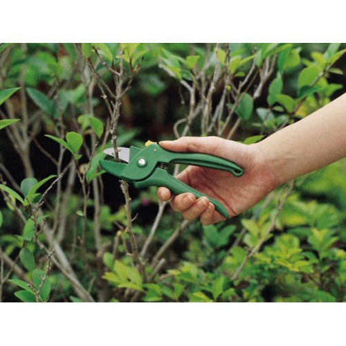 Small Anvil Pruning Shears (3113) / 2