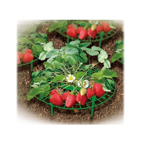 P-309 Fruit Supports / 2