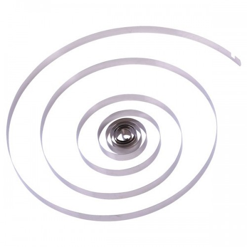 Shaped Wire Spring & Constant Force Spring / 2