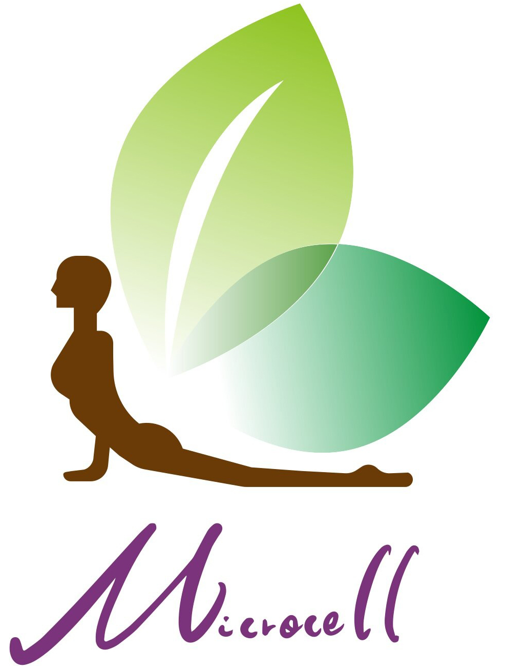 Microcell Technology Company  廣玥科技股份有限公司