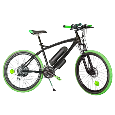Carbon E-Bike