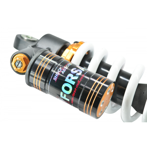 Piggyback Reservoir Shocks / 4