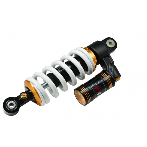 Piggyback Reservoir Shocks / 5