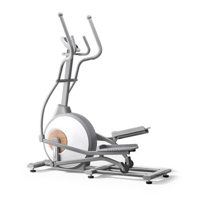 Elliptical Bike (EL0011-01)