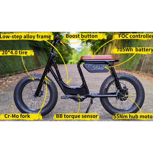 Bug E-bike / 3