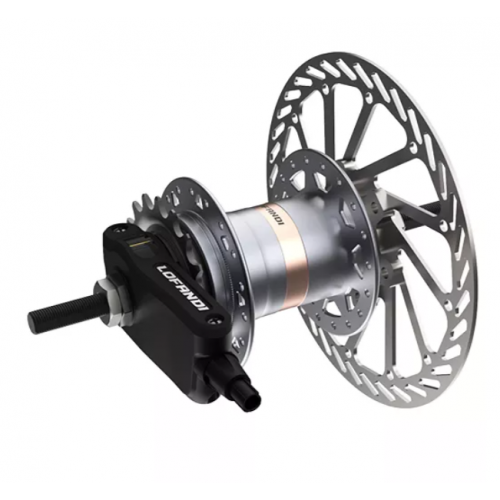 Internal Geared Hub Disc Brake 3-speed / 2