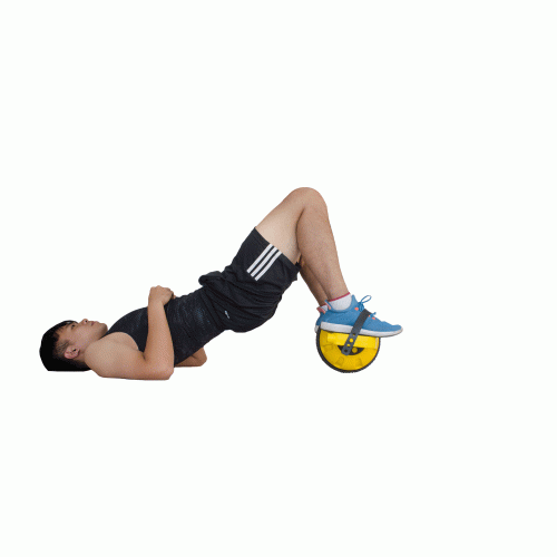 Pull back EXERCISE WHEEL MH-5575 / 3