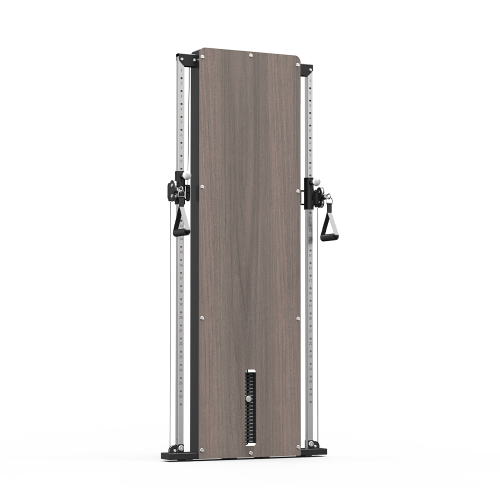 Wall-Mounted Multi-Gym-H8 / 2