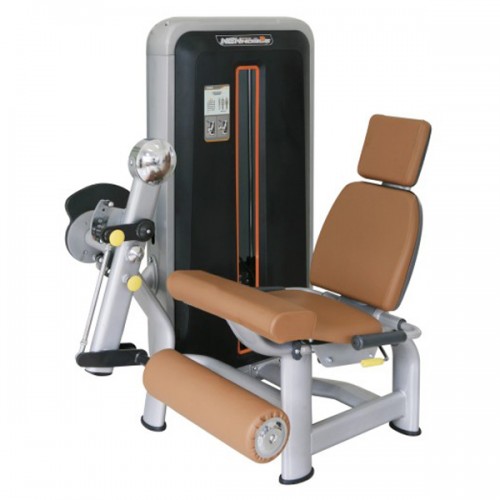 Leg Extension (XG-Z-6009)