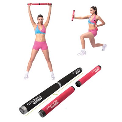 BR712 WEIGHTED GYM BARS