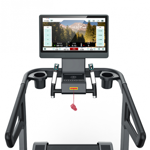 GYMOST Series Commercial Series Treadmill with Crawler-type-6363EA/TA / 4