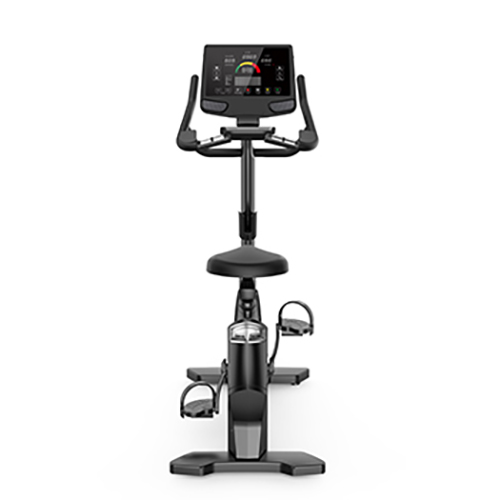 GYMOST Series Upright bike - B11-V3 / 3
