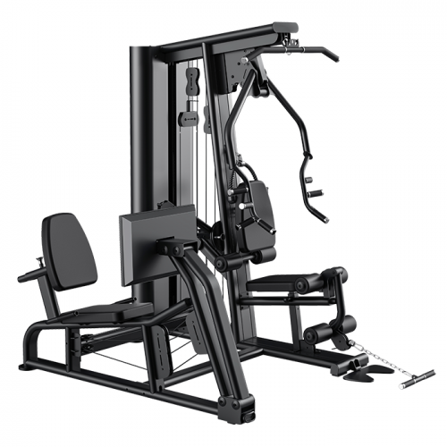 Commercial Series: Comprehensive training machine - L133 / 3