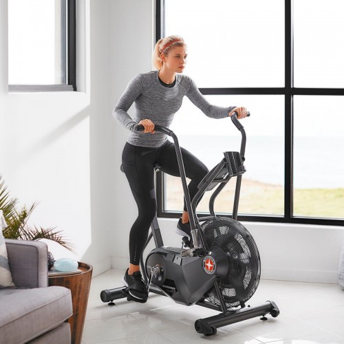 Schwinn Airdyne AD6i / 5